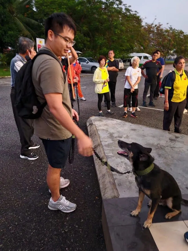 Hiking with Bailey at Bukit Kepayang, Seremban
